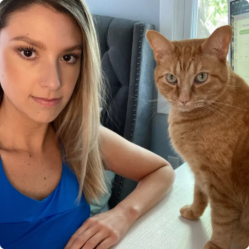 work-from-anywhere-employee-cat